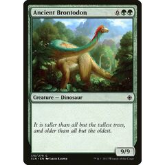Ancient Brontodon