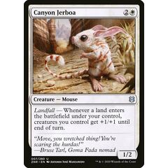Canyon Jerboa