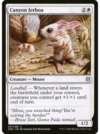 Canyon Jerboa