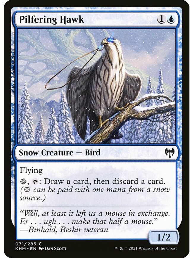 Pilfering Hawk