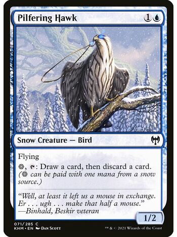 Pilfering Hawk