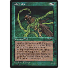 Whip Vine