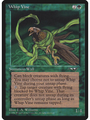 Whip Vine