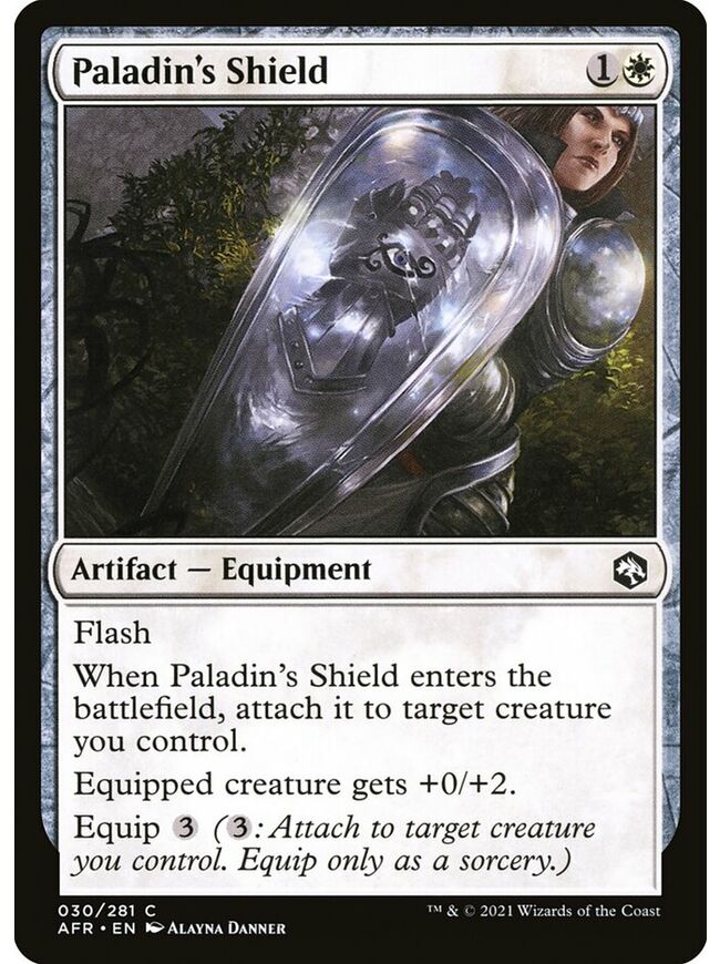 Paladin's Shield