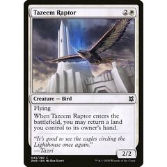 Tazeem Raptor