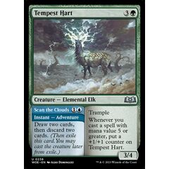 Tempest Hart // Scan the Clouds