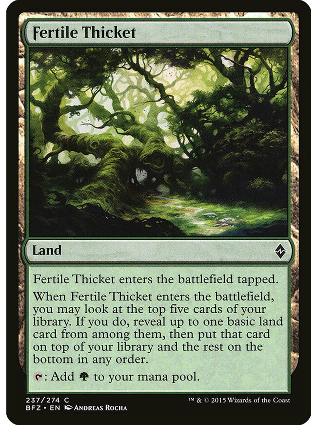 Fertile Thicket