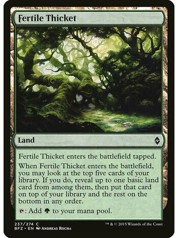 Fertile Thicket