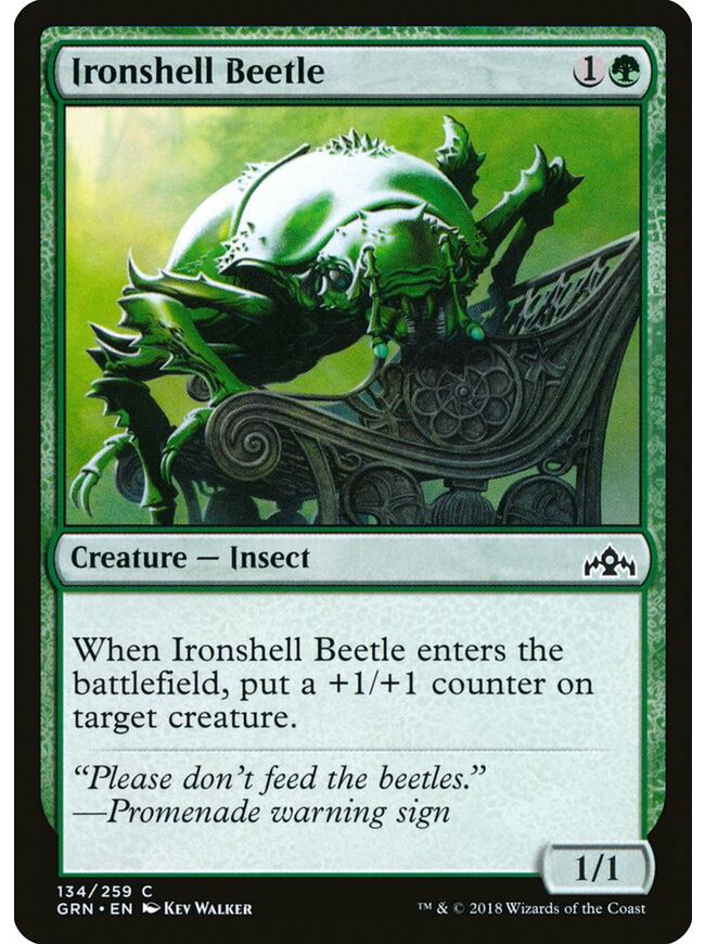 Ironshell Beetle