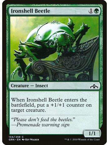 Ironshell Beetle