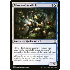Mistmeadow Witch