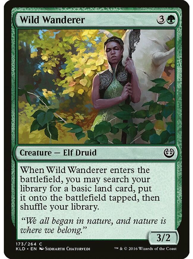 Wild Wanderer