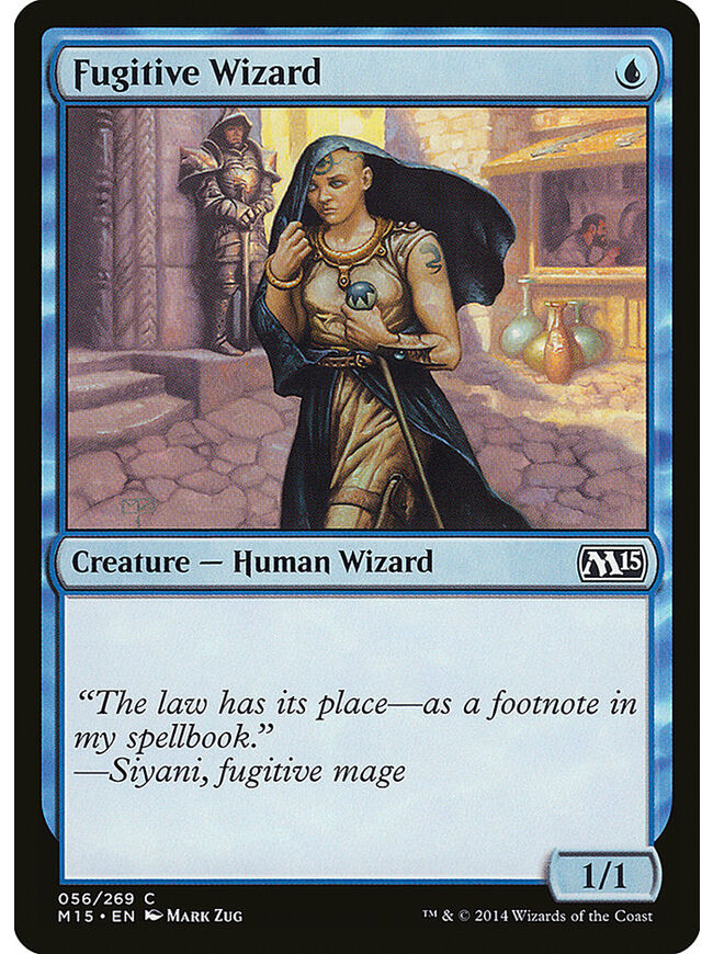 Fugitive Wizard
