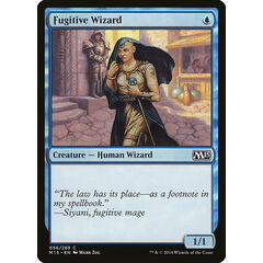Fugitive Wizard