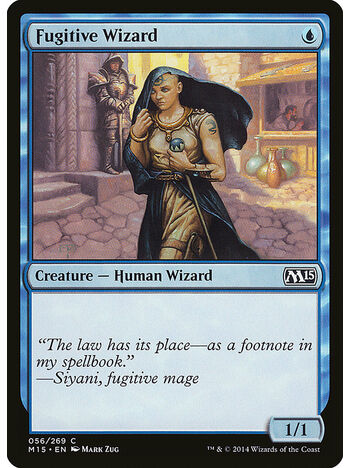 Fugitive Wizard