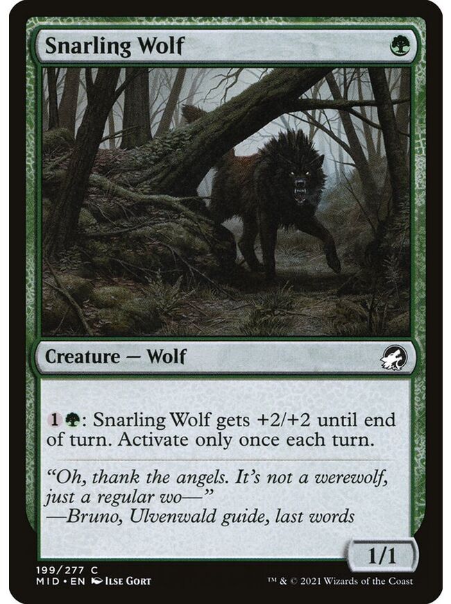 Snarling Wolf