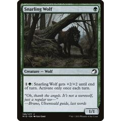 Snarling Wolf