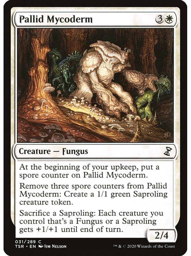 Pallid Mycoderm