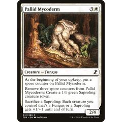 Pallid Mycoderm