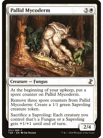 Pallid Mycoderm
