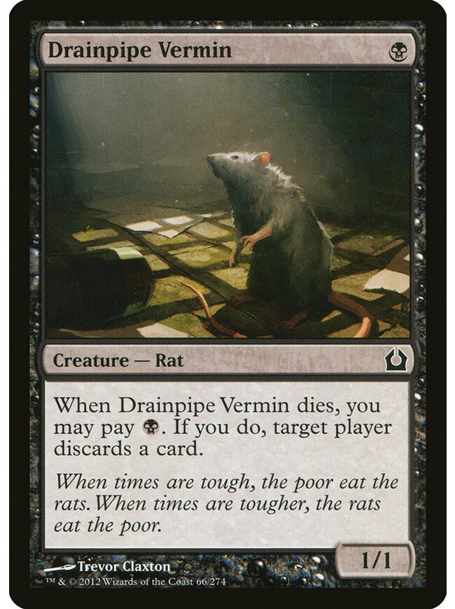 Drainpipe Vermin