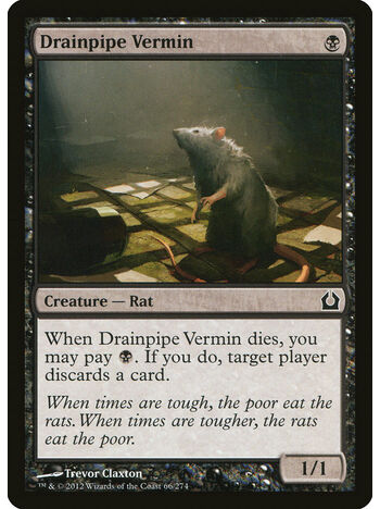 Drainpipe Vermin