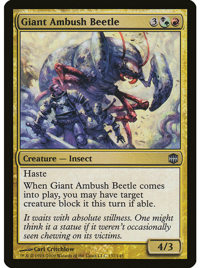 Giant Ambush Beetle