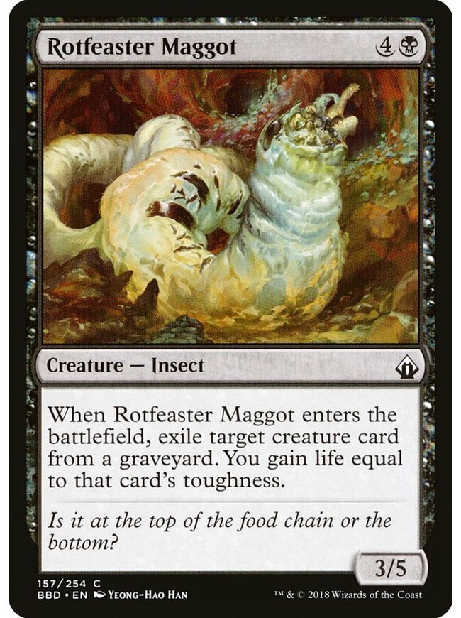 Rotfeaster Maggot