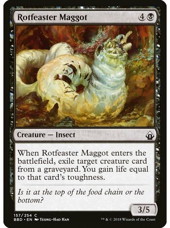 Rotfeaster Maggot