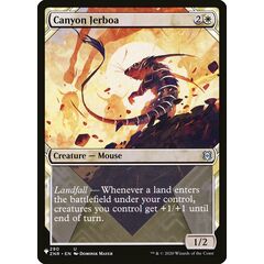 Canyon Jerboa
