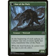 Solitary Hunter // One of the Pack