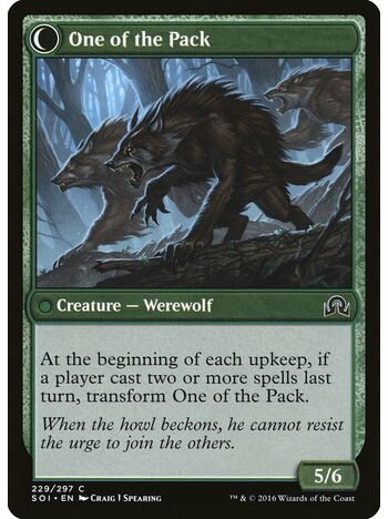 Solitary Hunter // One of the Pack