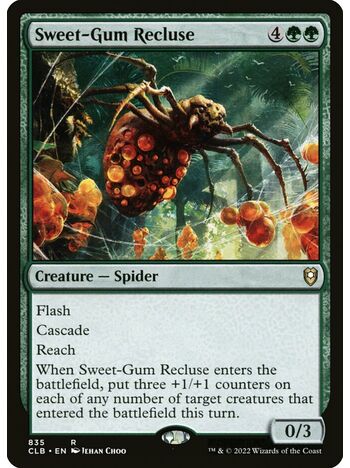 Sweet-Gum Recluse