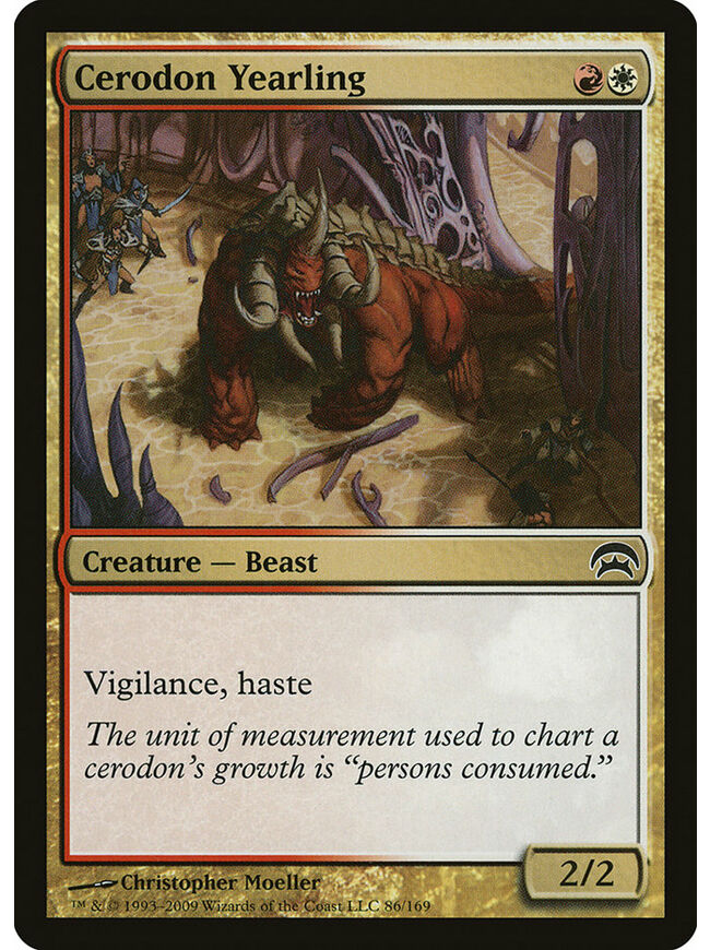 Cerodon Yearling