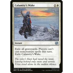 Calamity's Wake