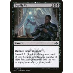 Deadly Visit
