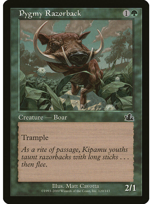 Pygmy Razorback