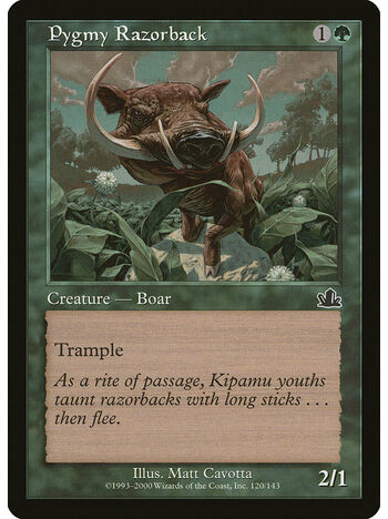Pygmy Razorback