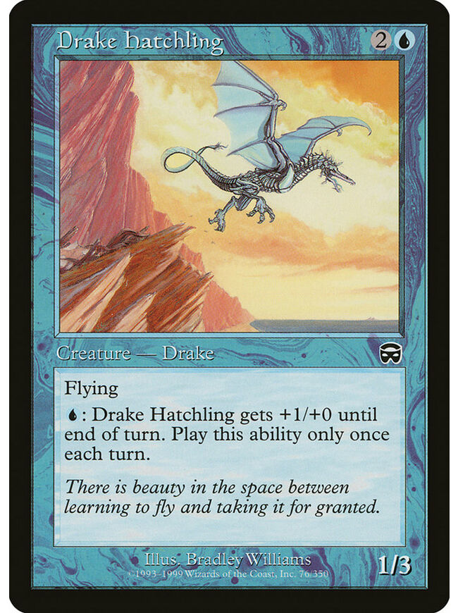 Drake Hatchling