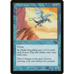 Drake Hatchling