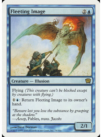 Fleeting Image