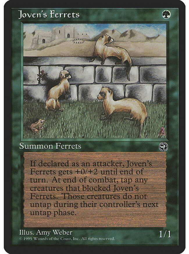 Joven's Ferrets