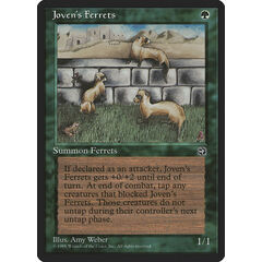 Joven's Ferrets