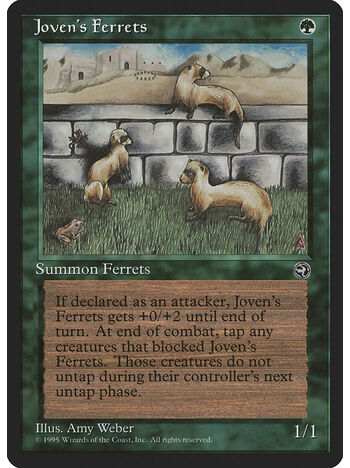 Joven's Ferrets