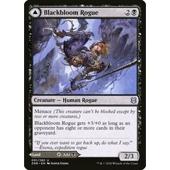 Blackbloom Rogue // Blackbloom Bog