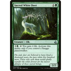 Sacred White Deer