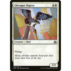 Ghirapur Osprey