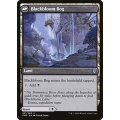 Blackbloom Rogue // Blackbloom Bog