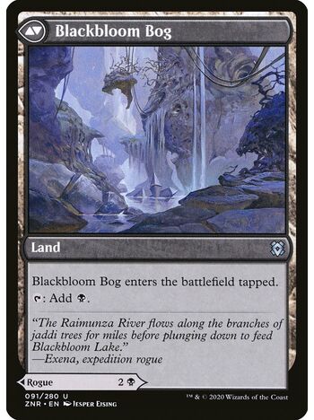 Blackbloom Rogue // Blackbloom Bog