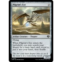 Pilgrim's Eye